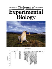 cover of Journal Experimental Biology 