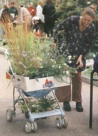 photo of woman loading a stroller with plants