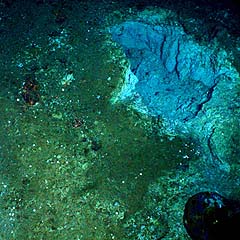Photo of seamount