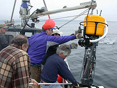 Researchers on bay