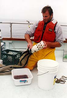 Photo of researcher