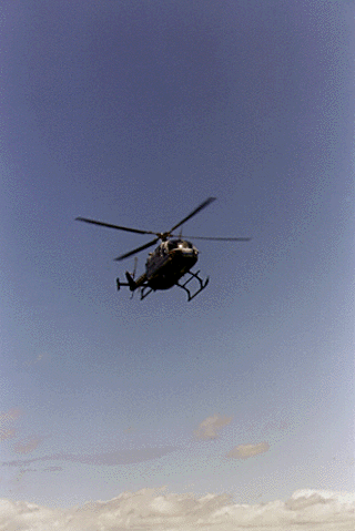 [Photo of A CalSTAR (California Shock/Trauma Air Rescue)
ambulance helicopter landing on the lower East Field]