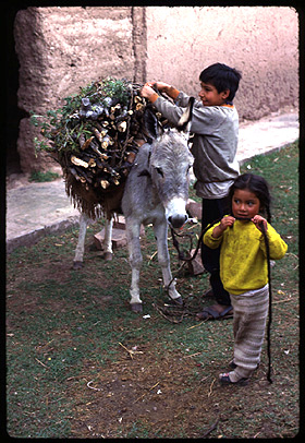 [Photo of Chachapoya children with burro]