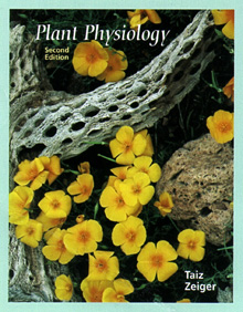 [Photo of book cover for Plant Physiology]