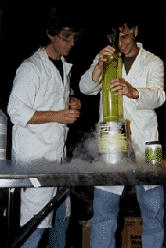 [Picture of Cliff Harris]