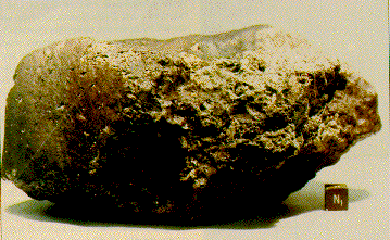 [Photo of meteorite]