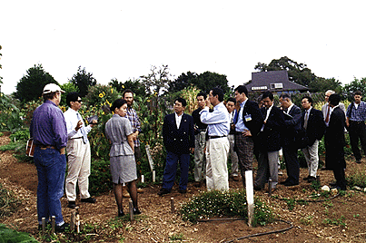 [Photo of Japanese executives touring the UCSC Farm]