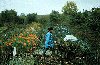 [Photo of apprentice in Farm and Garden]