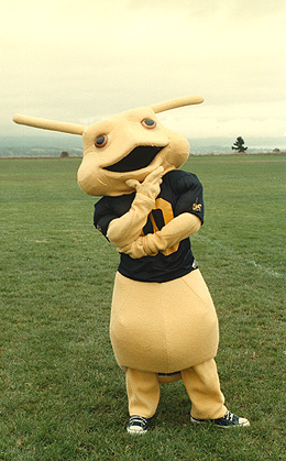 [Photo of Sammy, UCSC's new mascot]