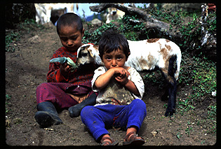 [Photo of Chachapoya children with goat]