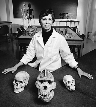 [Photo of Adrienne Zihlman with skulls]