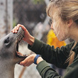 [Photo of researcher working with a seal at UCSC's Long Marine Lab]